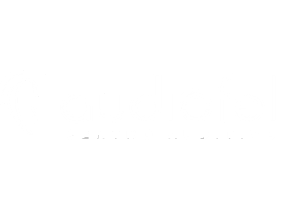 Audiofel